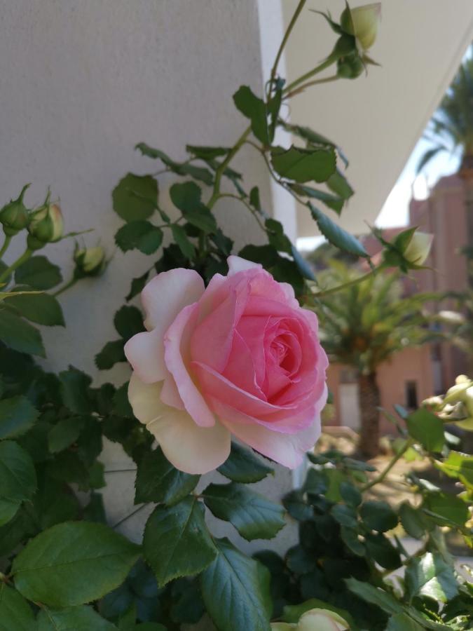 Ofdl B T1 Bandol - Briotine Foyalais Apartment Luaran gambar