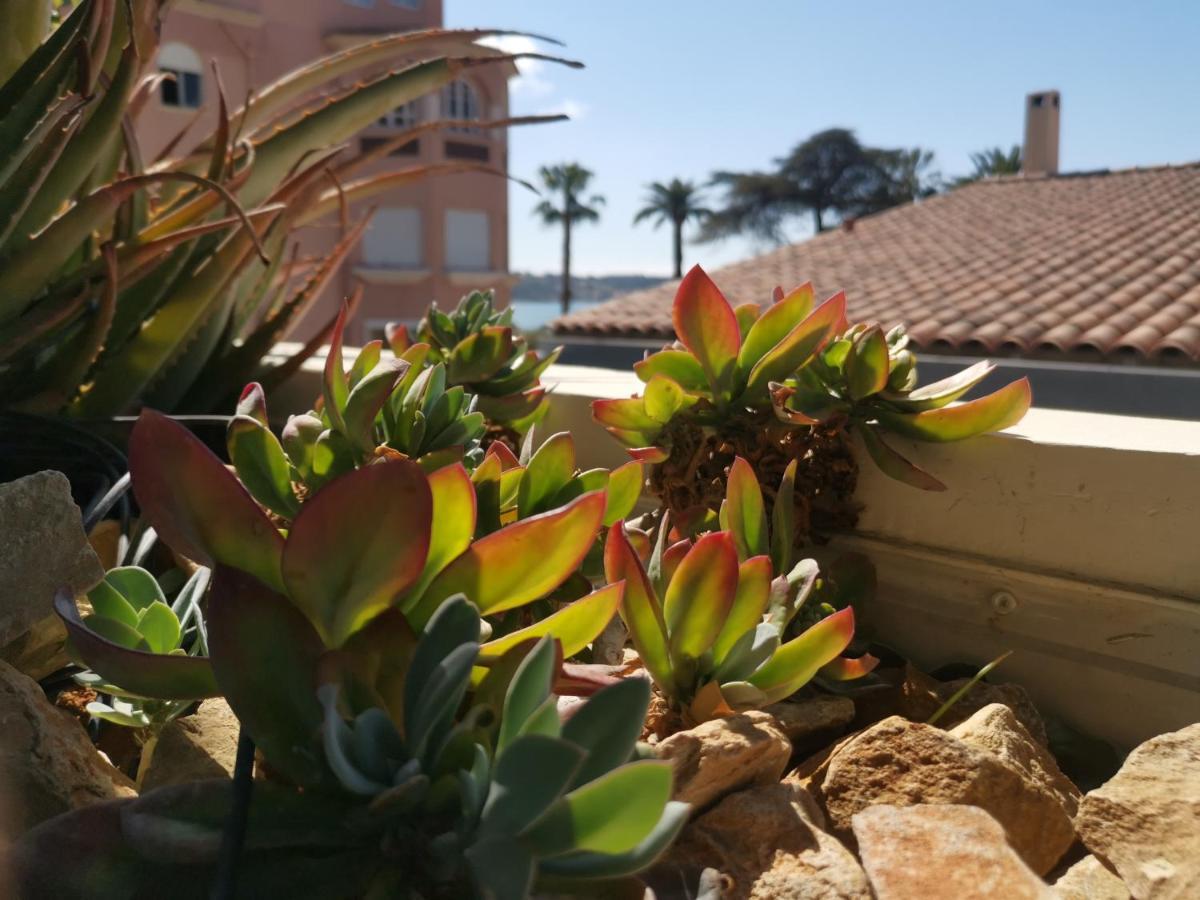 Ofdl B T1 Bandol - Briotine Foyalais Apartment Luaran gambar