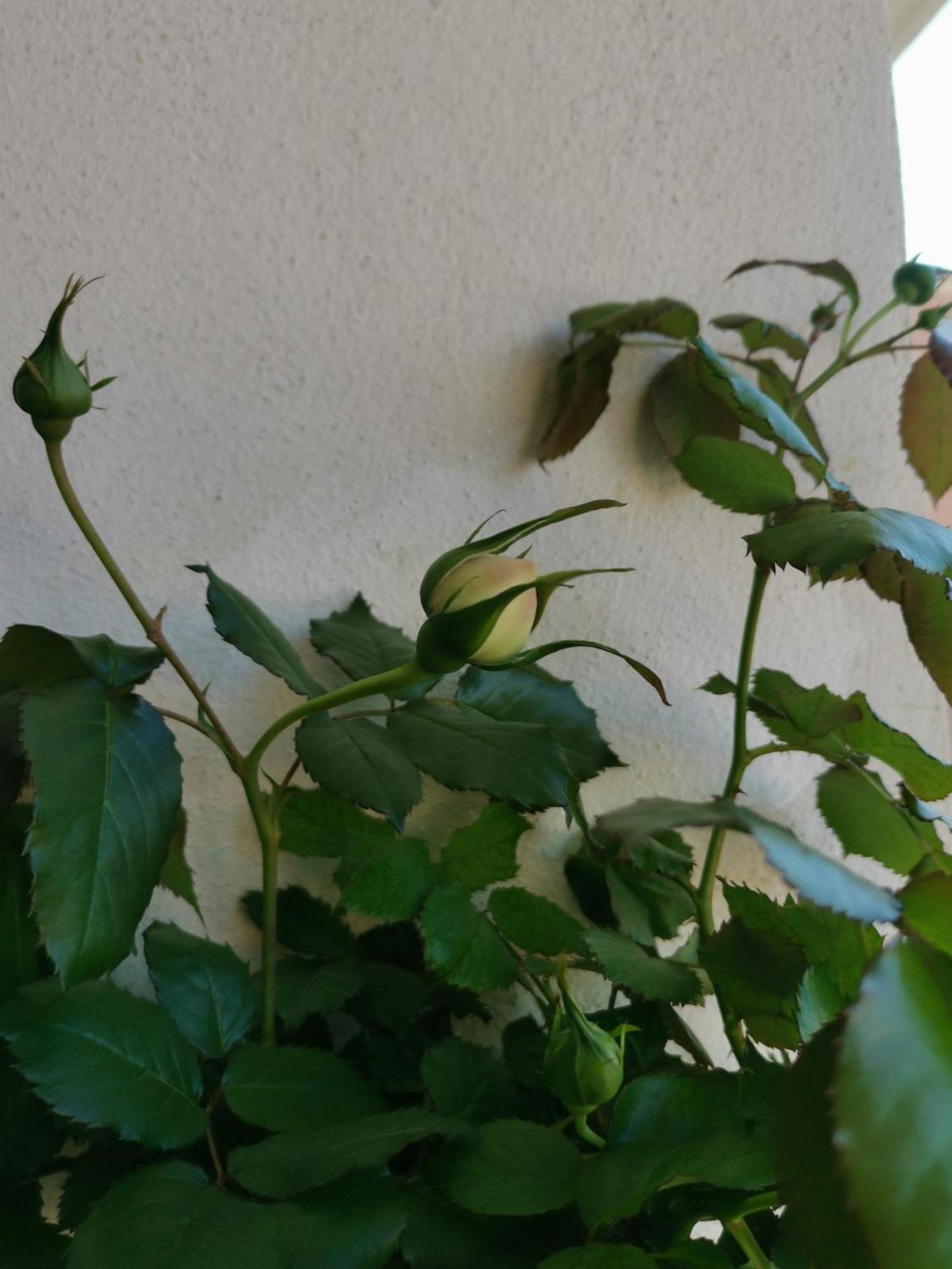 Ofdl B T1 Bandol - Briotine Foyalais Apartment Luaran gambar
